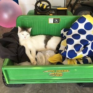 Meet your Posher, Ella